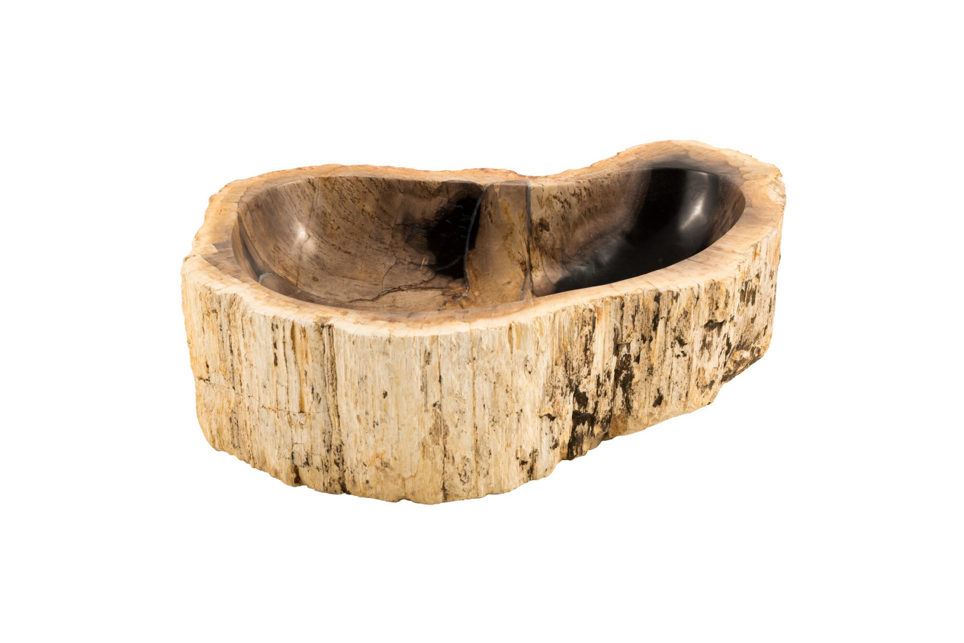 Hakan - Waschbecken aus versteinertem Holz 