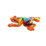 Rosalina - Mexikanischer Frosch