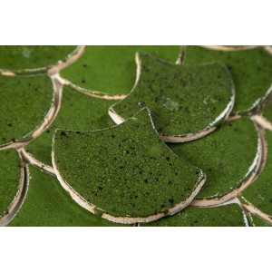 Fischschuppe - Fliesenset 'Waldmoos' aus der Serie 'Wasser"