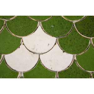 Fischschuppe - Fliesenset 'Waldmoos' aus der Serie 'Wasser"