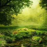 Fish Scale - Fliesenset "Forest Glade" aus der Serie "Water