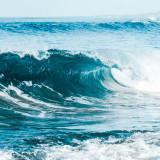 Fischschuppe - Fliesenset „Mediterranean Breeze“ aus der Serie „Water“.
