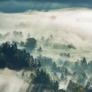 Fischschuppe - Fliesenset „Morgen im Nebel“ aus der Serie „Wasser“
