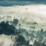 Fischschuppe - Fliesenset „Morgen im Nebel“ aus der Serie „Wasser“