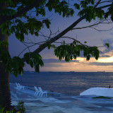 Fischschuppe - Fliesenset "Veracruz Coast" aus der Serie "Wasser"