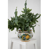 Handgefertigter sizilianischer Blumentopf - Vaso di limoni S