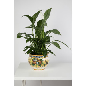 Vaso di melograni M - Italienischer Blumentopf