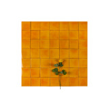 Mostaza Deslavado Orange – Einfarbige Talavera-Fliesen