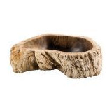Versteinertes Holz