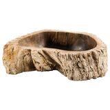 Versteinertes Holz und Halbedelstein 